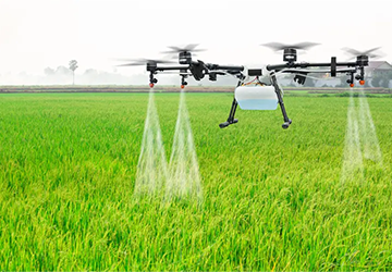 The Role of Technology in Sustainable Agriculture