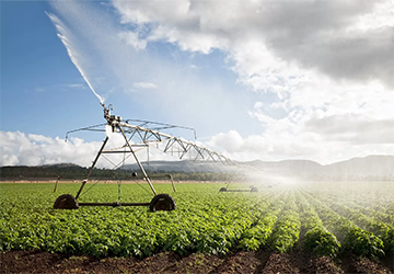 The Role of Technology in Sustainable Agriculture