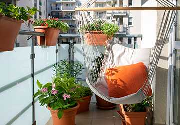 What Plants Thrive in Urban Balconies?
