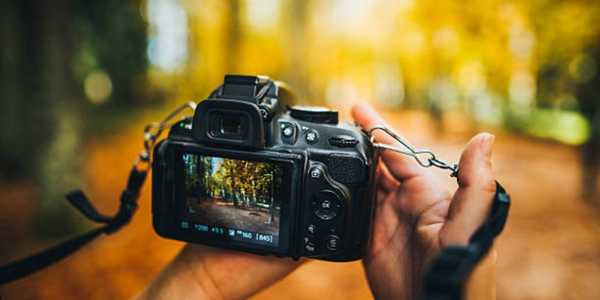How To Choose The Right DSLR Camera For Beginners